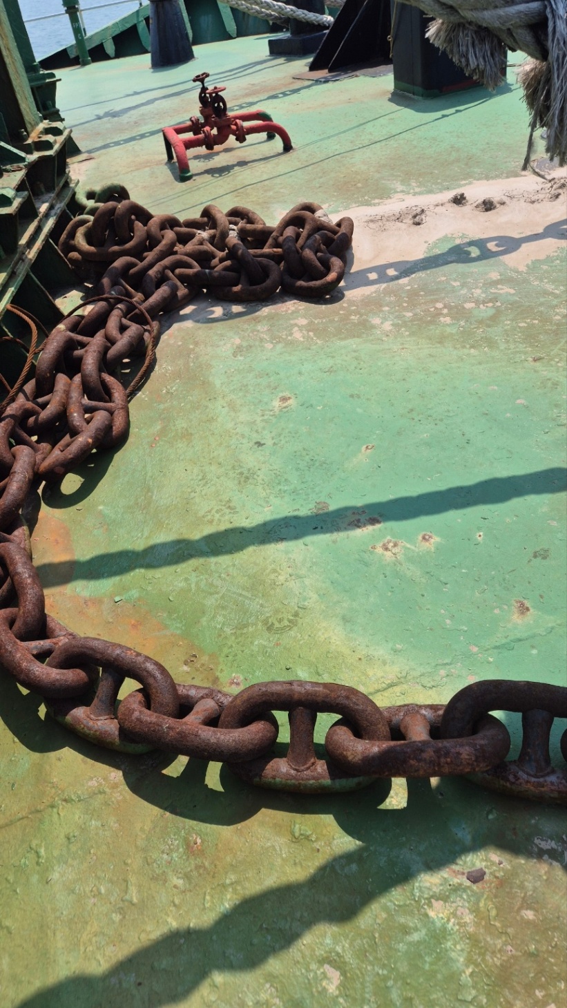 Bulk Carrier (Handysize) photo 9